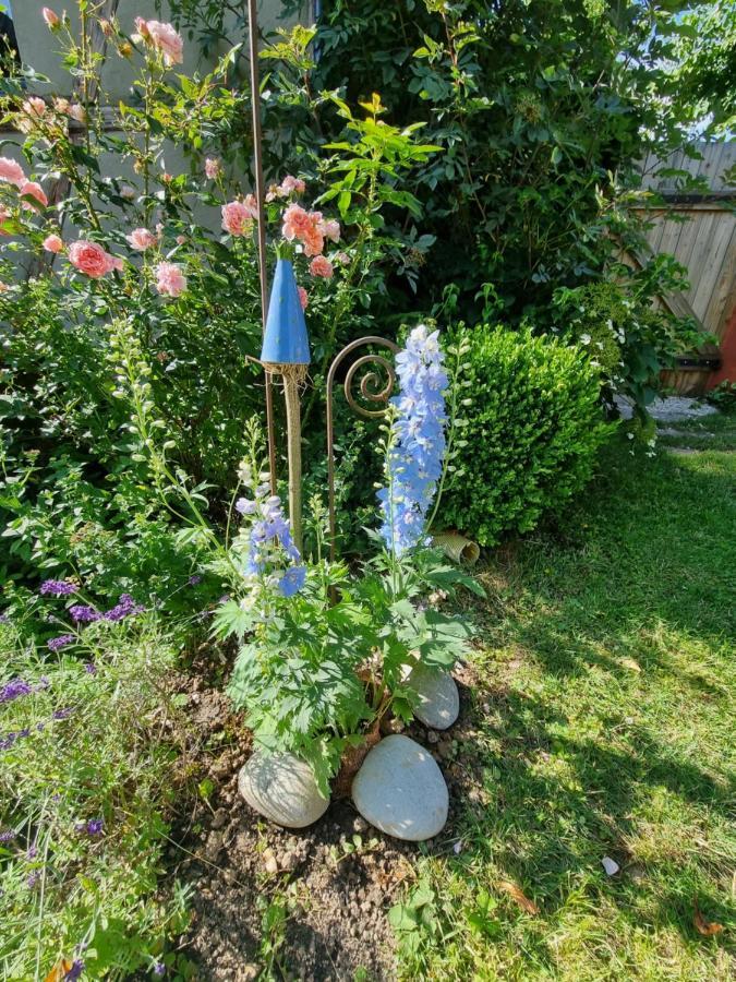 Ankommen, Wohlfuehlen Und Die Natur Geniessen Lichtenhain  Zewnętrze zdjęcie