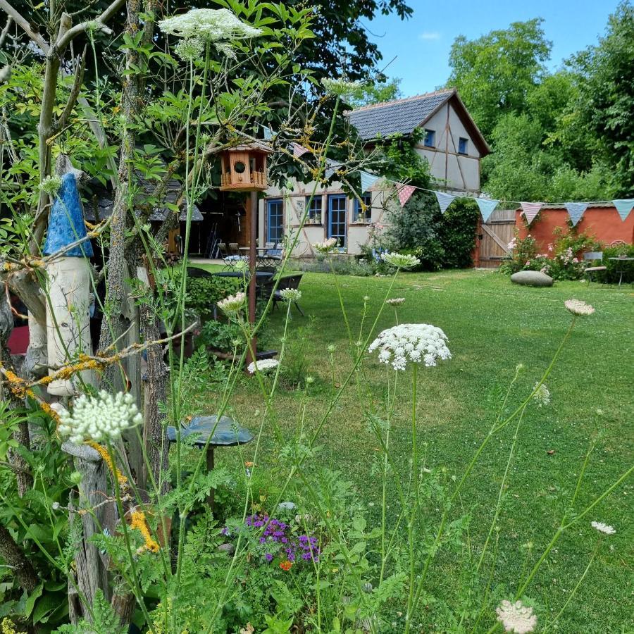 Ankommen, Wohlfuehlen Und Die Natur Geniessen Lichtenhain  Zewnętrze zdjęcie